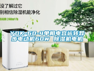 企業(yè)新聞YDK-60-4單相電容運轉(zhuǎn)異步電動機60W 除濕機電機