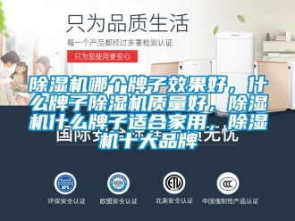 企業新聞除濕機哪個牌子效果好，什么牌子除濕機質量好，除濕機什么牌子適合家用，除濕機十大品牌