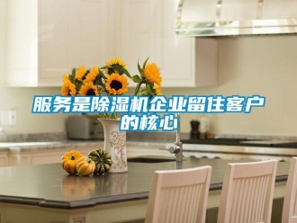 企業(yè)新聞服務(wù)是除濕機(jī)企業(yè)留住客戶的核心