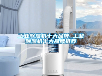 常見(jiàn)問(wèn)題工業(yè)除濕機(jī)十大品牌_工業(yè)除濕機(jī)十大品牌推薦