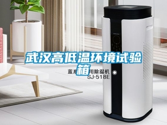 常見(jiàn)問(wèn)題武漢高低溫環(huán)境試驗(yàn)箱