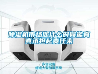 企業(yè)新聞除濕機市場您什么時候能真真承擔起責任來