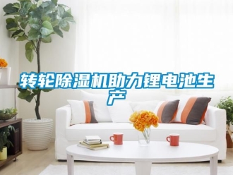 常見問題轉輪除濕機助力鋰電池生產