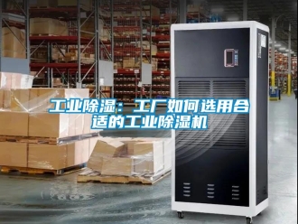 常見問題工業除濕：工廠如何選用合適的工業除濕機