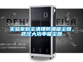 企業(yè)新聞實驗室粉塵清理防爆吸塵器，武漢大功率吸塵器