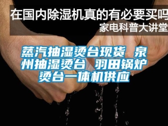 企業新聞蒸汽抽濕燙臺現貨 泉州抽濕燙臺 羽田鍋爐燙臺一體機供應