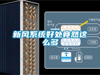 知識百科新風系統(tǒng)好處竟然這么多