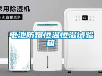 知識百科電池防爆恒溫恒濕試驗箱
