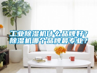 常見問題工業除濕機什么品牌好？除濕機哪個品牌最專業？