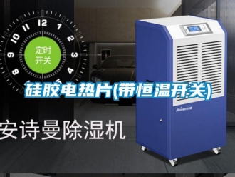 知識百科硅膠電熱片(帶恒溫開關)
