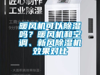 常見問題暖風機可以除濕嗎？暖風機和空調、新風除濕機效果對比