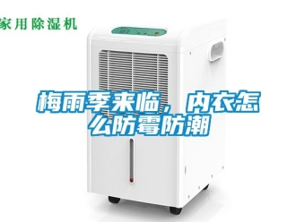 常見(jiàn)問(wèn)題梅雨季來(lái)臨，內(nèi)衣怎么防霉防潮