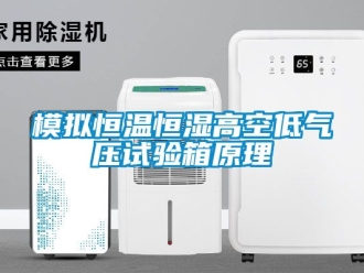 知識(shí)百科模擬恒溫恒濕高空低氣壓試驗(yàn)箱原理