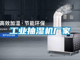 企業(yè)新聞工業(yè)抽濕機(jī)廠家