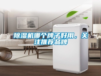 企業(yè)新聞除濕機(jī)哪個(gè)牌子好用，關(guān)注推薦品牌