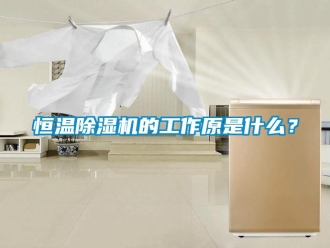 知識(shí)百科恒溫除濕機(jī)的工作原是什么？