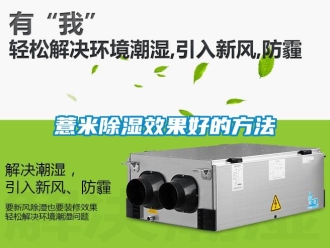 企業新聞薏米除濕效果好的方法