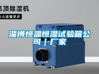 知識百科淄博恒溫恒濕試驗(yàn)箱公司｜廠家