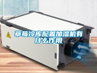 企業(yè)新聞草莓冷庫配置加濕機(jī)有什么作用
