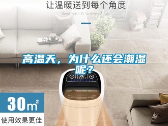 企業(yè)新聞高溫天，為什么還會(huì)潮濕呢？