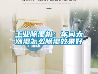 常見問題工業除濕機：車間太潮濕怎么除濕效果好