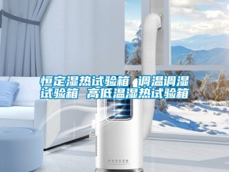 常見問題恒定濕熱試驗(yàn)箱 調(diào)溫調(diào)濕試驗(yàn)箱 高低溫濕熱試驗(yàn)箱