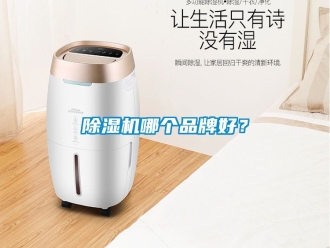 企業新聞除濕機哪個品牌好？