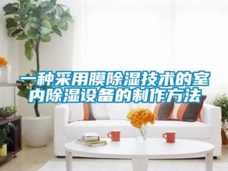 企業(yè)新聞一種采用膜除濕技術(shù)的室內(nèi)除濕設(shè)備的制作方法