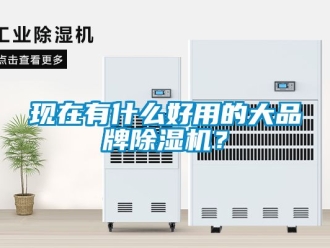 企業(yè)新聞現(xiàn)在有什么好用的大品牌除濕機(jī)？
