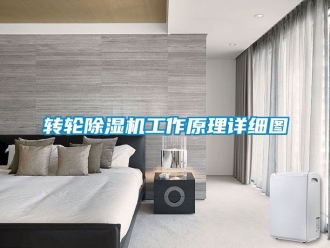 常見問題轉(zhuǎn)輪除濕機(jī)工作原理詳細(xì)圖
