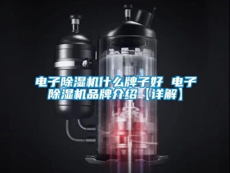 企業新聞電子除濕機什么牌子好 電子除濕機品牌介紹【詳解】