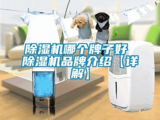 企業(yè)新聞除濕機(jī)哪個(gè)牌子好 除濕機(jī)品牌介紹【詳解】