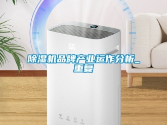 企業(yè)新聞除濕機品牌產(chǎn)業(yè)運作分析_重復(fù)