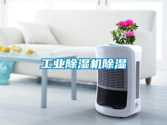 常見問題工業除濕機除濕