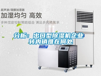 企業(yè)新聞分析：出口型除濕機(jī)企業(yè) 轉(zhuǎn)內(nèi)銷難在何處
