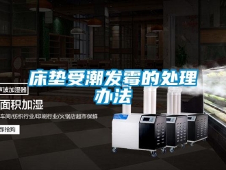企業新聞床墊受潮發霉的處理辦法