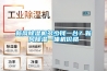 新風(fēng)除濕機(jī)多少錢一臺？新風(fēng)除濕一體機(jī)價(jià)格