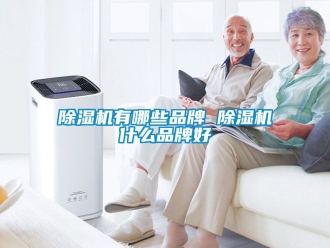 企業新聞除濕機有哪些品牌 除濕機什么品牌好