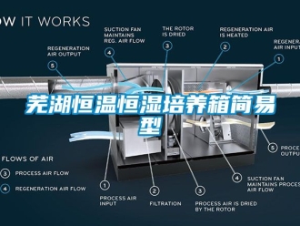 知識百科蕪湖恒溫恒濕培養(yǎng)箱簡易型