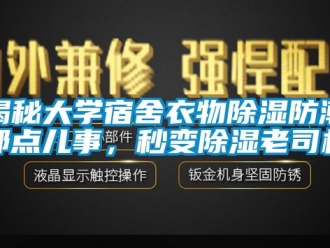 常見問題揭秘大學(xué)宿舍衣物除濕防潮那點(diǎn)兒事，秒變除濕老司機(jī)