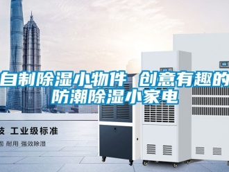 常見問題自制除濕小物件 創意有趣的防潮除濕小家電