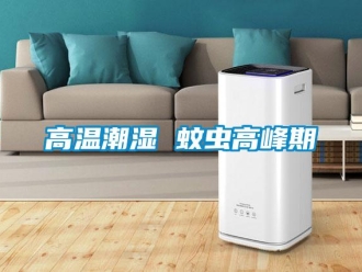 企業新聞高溫潮濕 蚊蟲高峰期