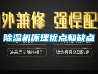 企業(yè)新聞除濕機(jī)原理優(yōu)點(diǎn)和缺點(diǎn)