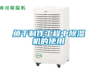 知識百科魚干制作工程中除濕機的使用