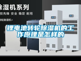 常見問題鋰電池轉(zhuǎn)輪除濕機的工作原理是怎樣的