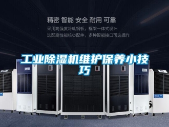 企業(yè)新聞工業(yè)除濕機(jī)維護(hù)保養(yǎng)小技巧