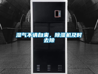 知識百科濕氣不請自來，除濕機及時去除