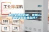地下室如何防潮，使用工業除濕機效果怎樣？