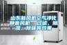 山東新風(fēng)機(jī)空氣凈化靜音風(fēng)機(jī)  過濾、除濕、除味等效果
