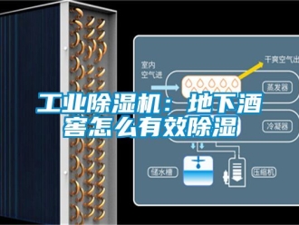 常見問題工業除濕機：地下酒窖怎么有效除濕